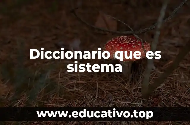 Diccionario que es sistema