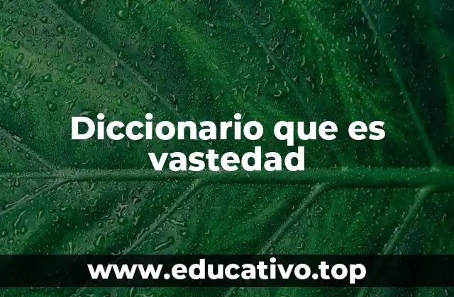 Diccionario que es vastedad