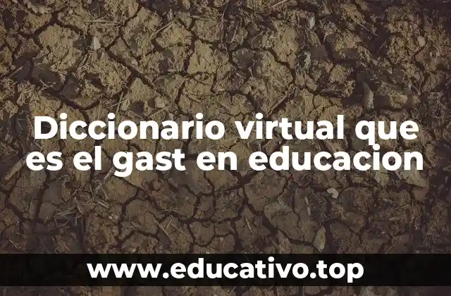Diccionario virtual que es el gast en educacion
