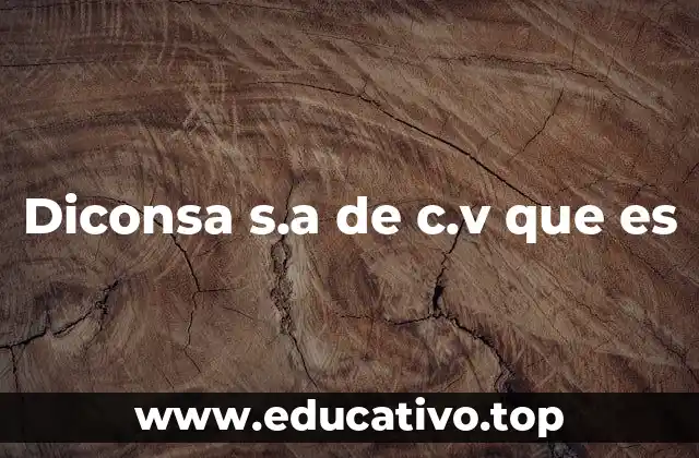 Diconsa s.a de c.v que es