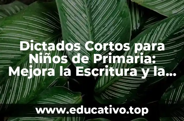 Dictados Cortos para Niños de Primaria: Mejora la Escritura y la Ortografía