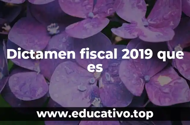 Dictamen fiscal 2019 que es