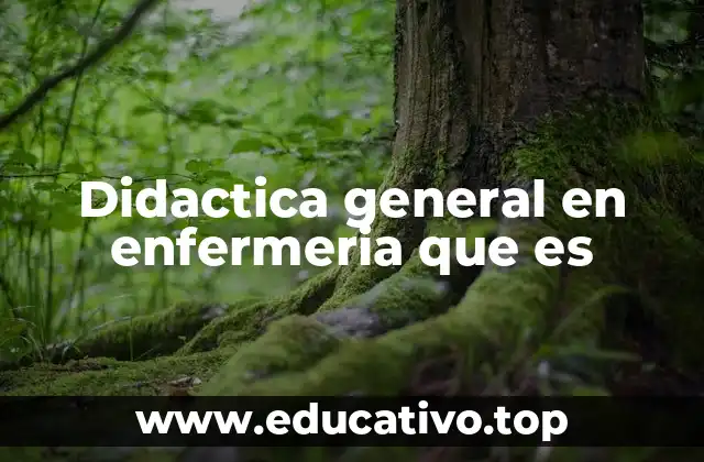 Didactica general en enfermeria que es