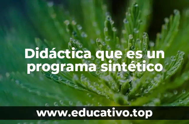 Didáctica que es un programa sintético