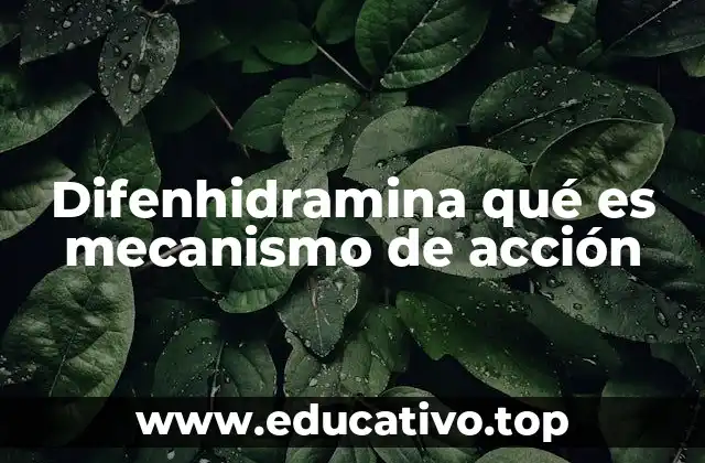 Difenhidramina qué es mecanismo de acción
