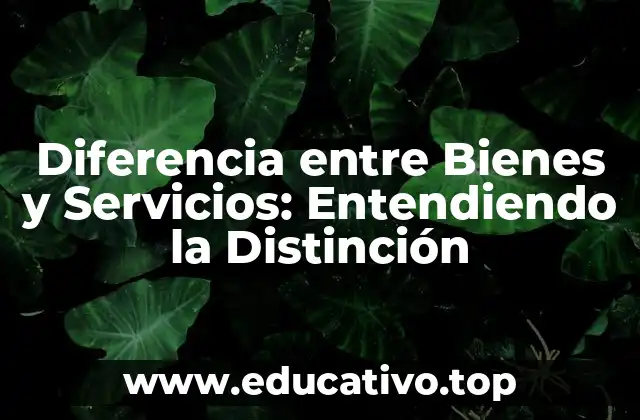 Diferencia entre Bienes y Servicios: Entendiendo la Distinción