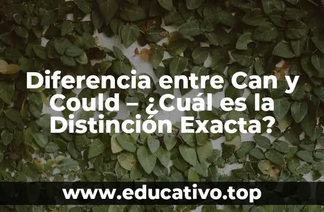 Diferencia entre Can y Could – ¿Cuál es la Distinción Exacta?