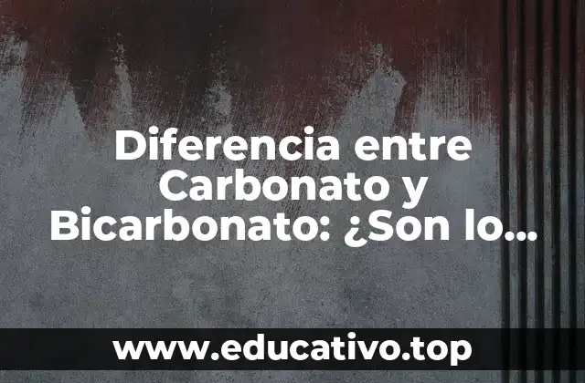Diferencia entre Carbonato y Bicarbonato: ¿Son lo Mismo?