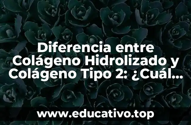 Diferencia entre Colágeno Hidrolizado y Colágeno Tipo 2: ¿Cuál es Mejor?