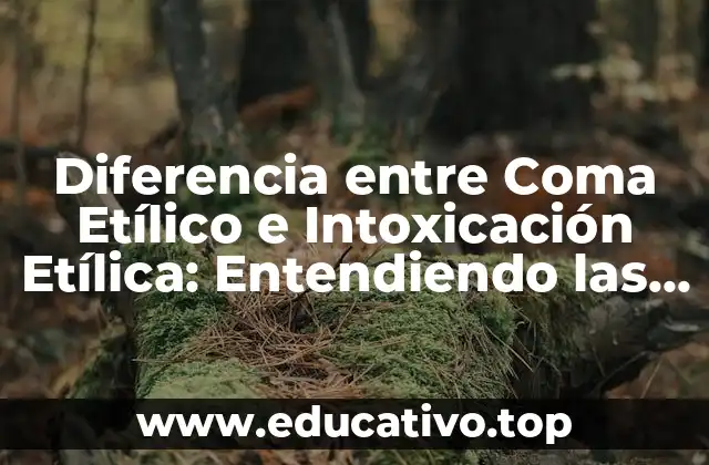 Diferencia entre Coma Etílico e Intoxicación Etílica: Entendiendo las Consecuencias