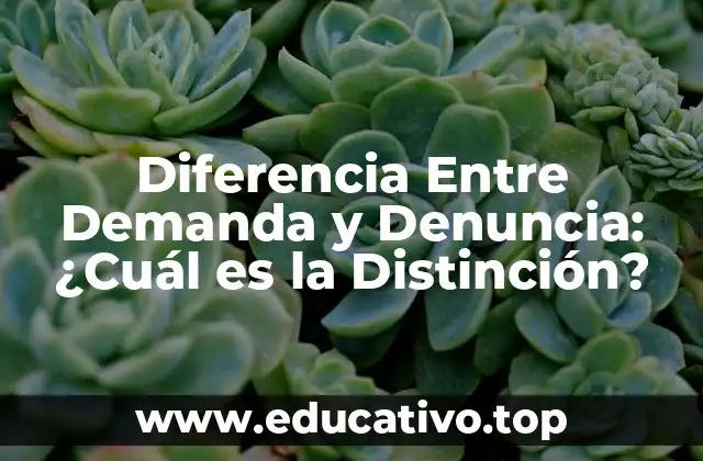 Diferencia Entre Demanda y Denuncia: ¿Cuál es la Distinción?