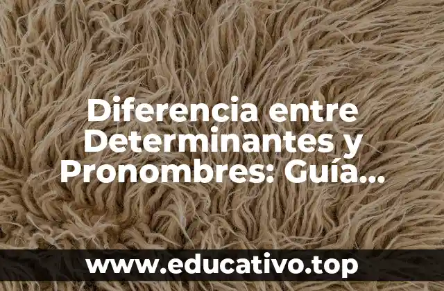 Diferencia entre Determinantes y Pronombres: Guía Completa