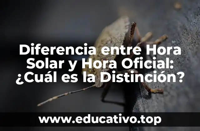 Diferencia entre Hora Solar y Hora Oficial: ¿Cuál es la Distinción?