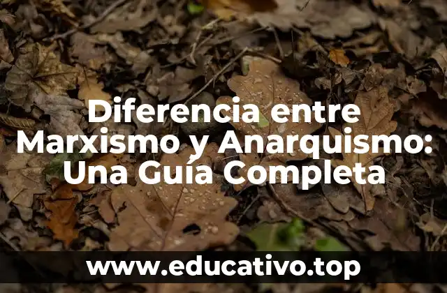 Diferencia entre Marxismo y Anarquismo: Una Guía Completa