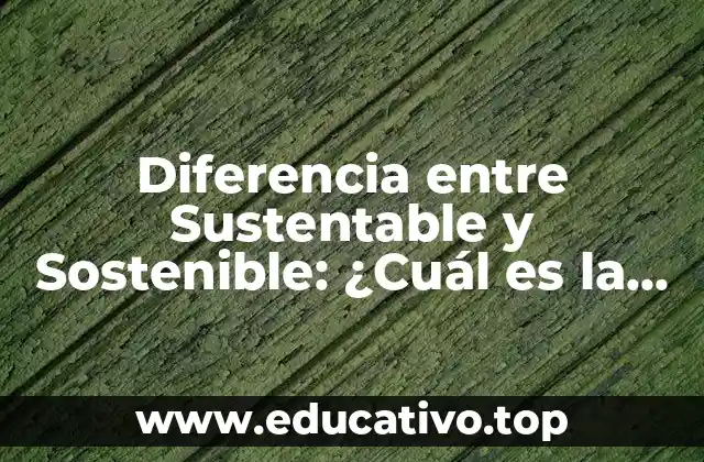 Diferencia entre Sustentable y Sostenible: ¿Cuál es la Diferencia?