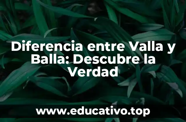 Diferencia entre Valla y Balla: Descubre la Verdad