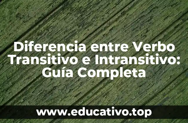 Diferencia entre Verbo Transitivo e Intransitivo: Guía Completa