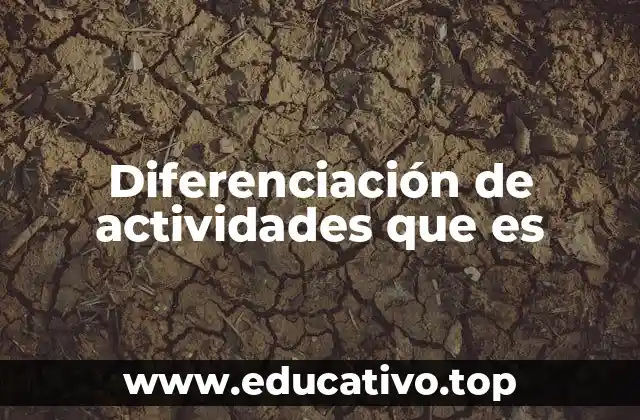 Diferenciación de actividades que es