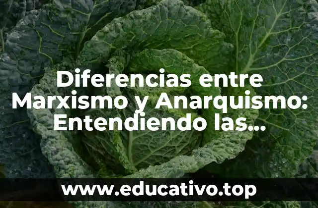 Diferencias entre Marxismo y Anarquismo: Entendiendo las Ideologías Revolucionarias