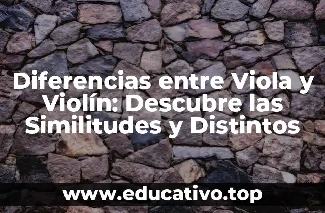Diferencias entre Viola y Violín: Descubre las Similitudes y Distintos