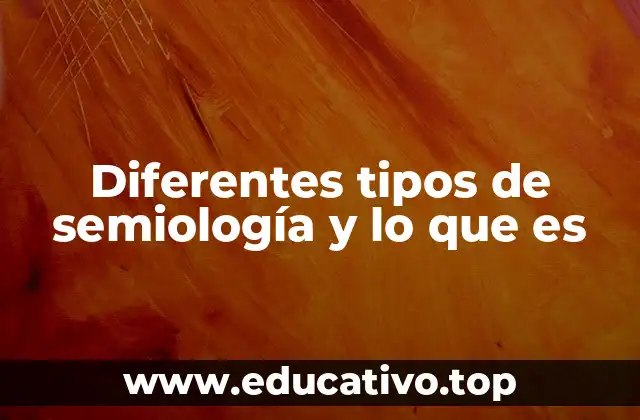 Diferentes tipos de semiología y lo que es