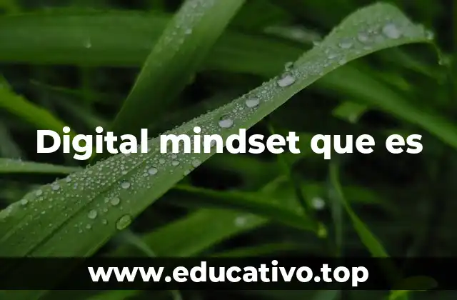 La transformación digital y su relación con la mentalidad digital