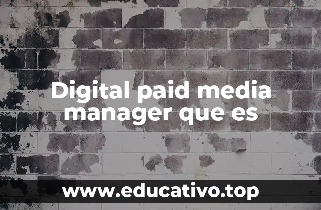 Digital paid media manager que es