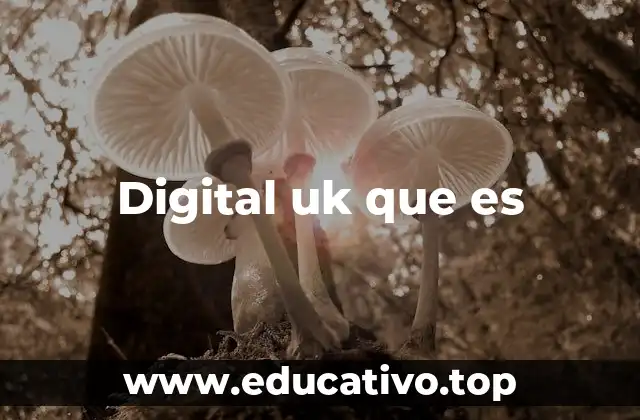 Digital uk que es