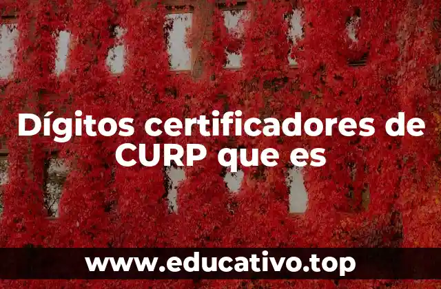 Dígitos certificadores de CURP que es
