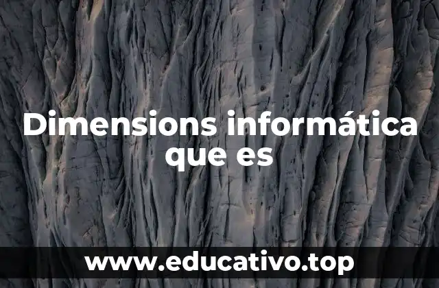 Dimensions informática que es