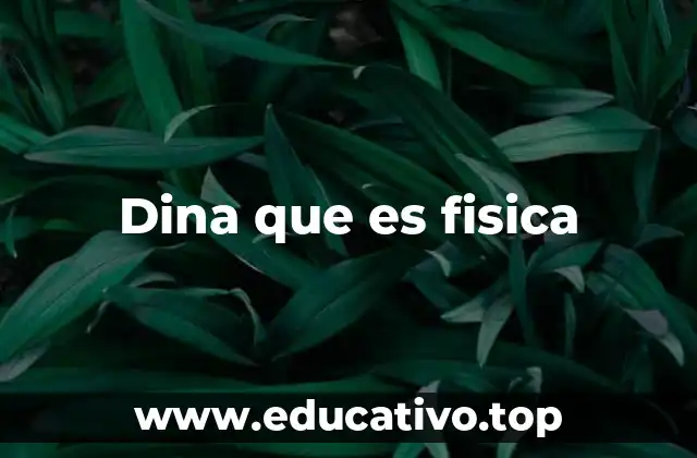 Dina que es fisica