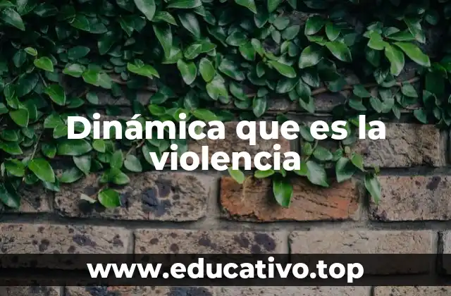 La violencia como fenómeno social complejo
