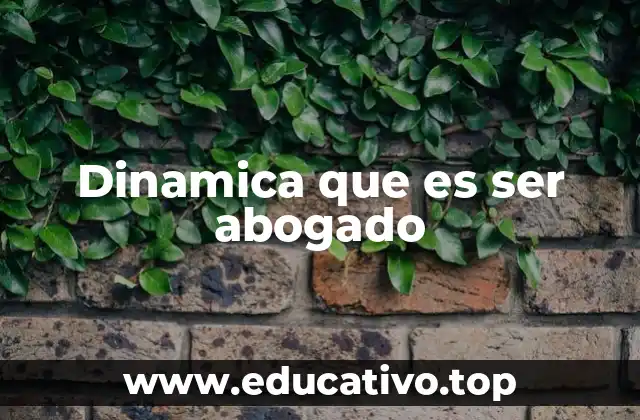 Dinamica que es ser abogado