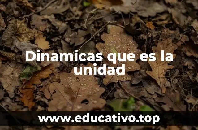 Dinamicas que es la unidad