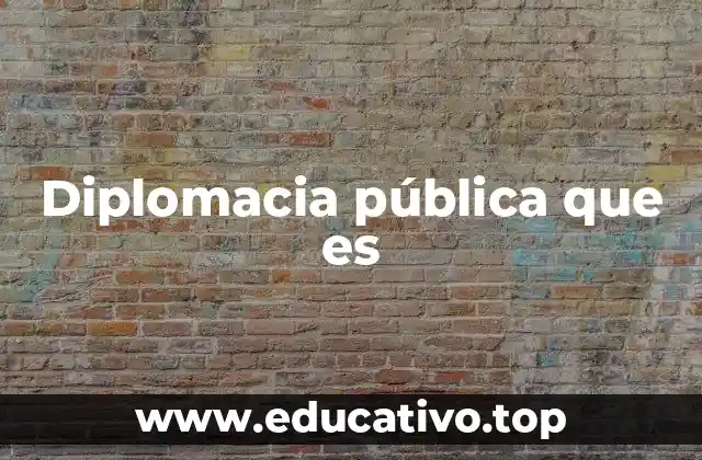 Diplomacia pública que es