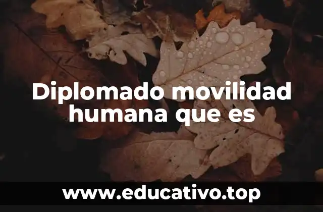 Diplomado movilidad humana que es
