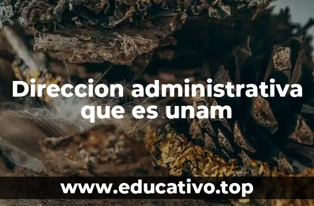 Direccion administrativa que es unam