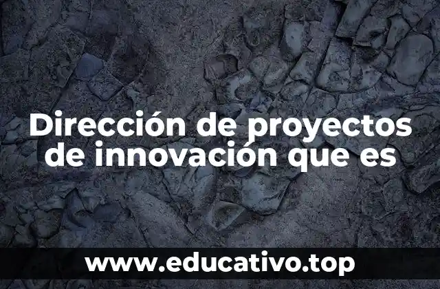 El papel de la dirección en proyectos innovadores sin mencionar directamente el término