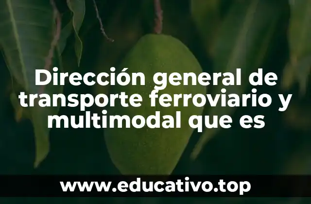 Dirección general de transporte ferroviario y multimodal que es
