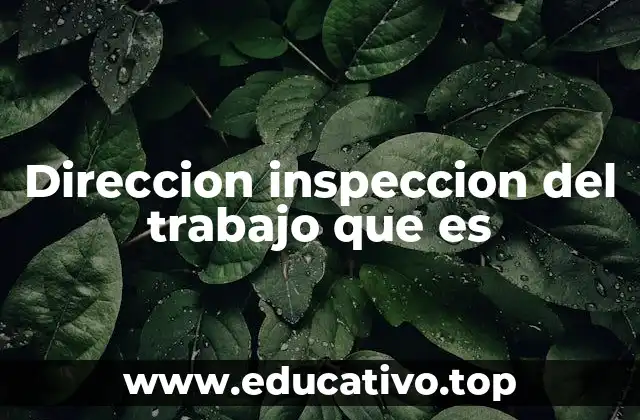 Direccion inspeccion del trabajo que es