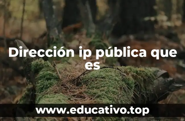 Dirección ip pública que es