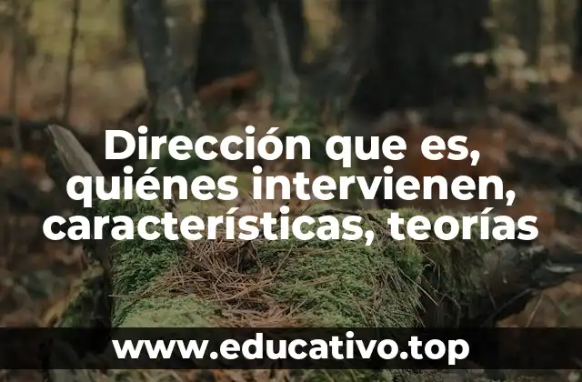Dirección que es, quiénes intervienen, características, teorías