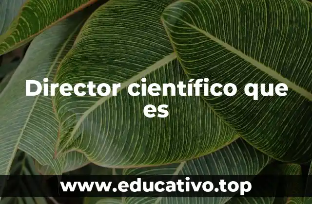 Director científico que es