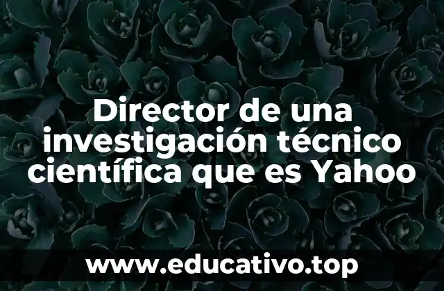 Director de una investigación técnico científica que es Yahoo