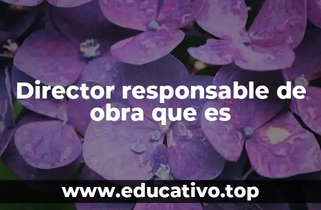 Director responsable de obra que es