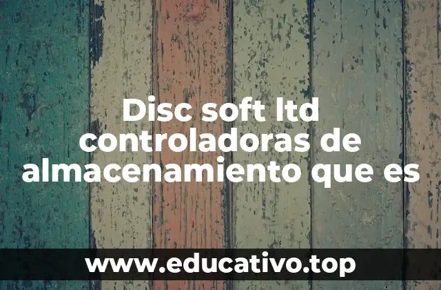Disc soft ltd controladoras de almacenamiento que es