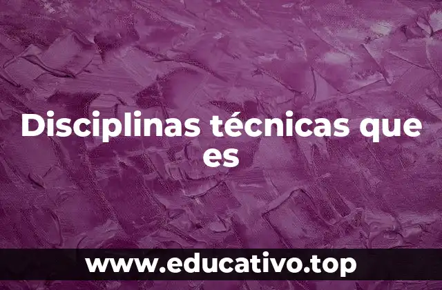 Disciplinas técnicas que es