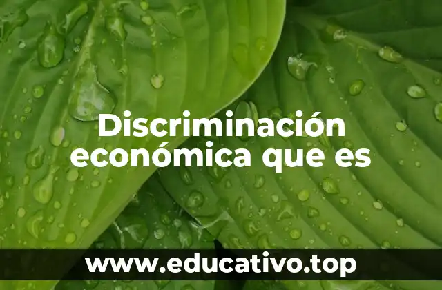 Discriminación económica que es