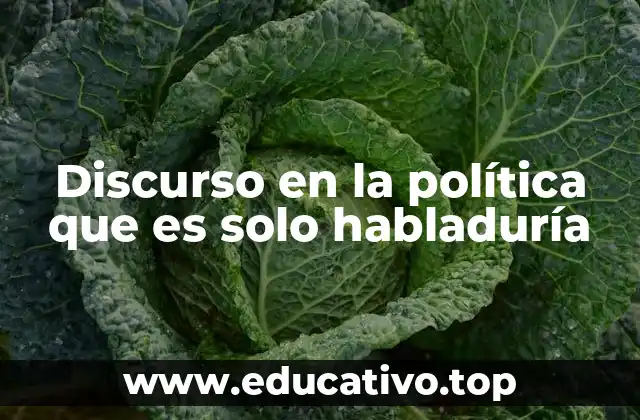 Discurso en la política que es solo habladuría