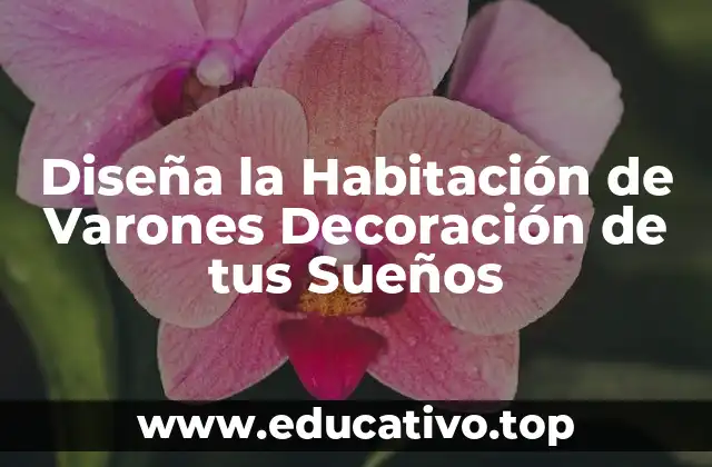 Diseña la Habitación de Varones Decoración de tus Sueños